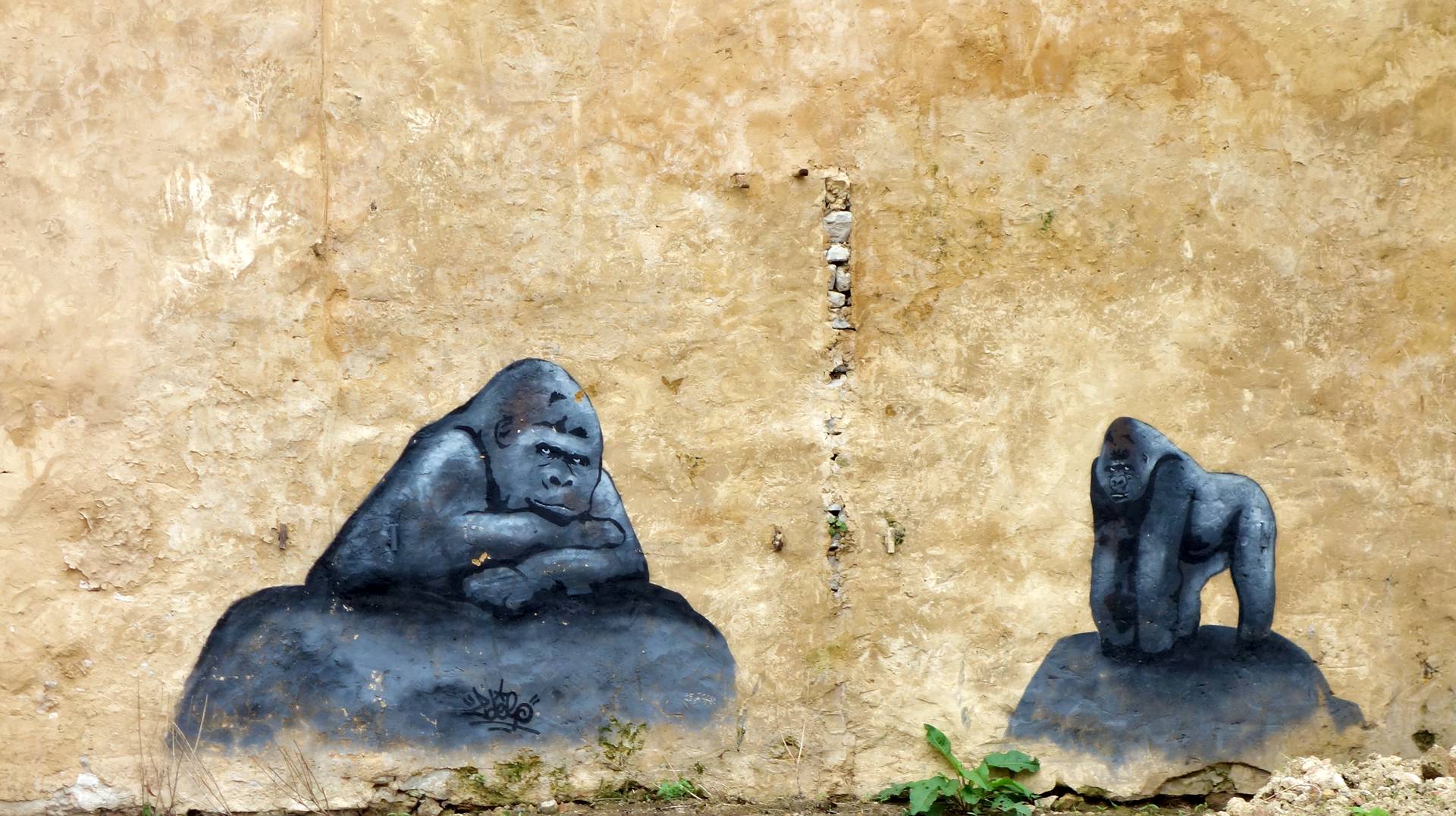 Peinture murale de deux gorilles